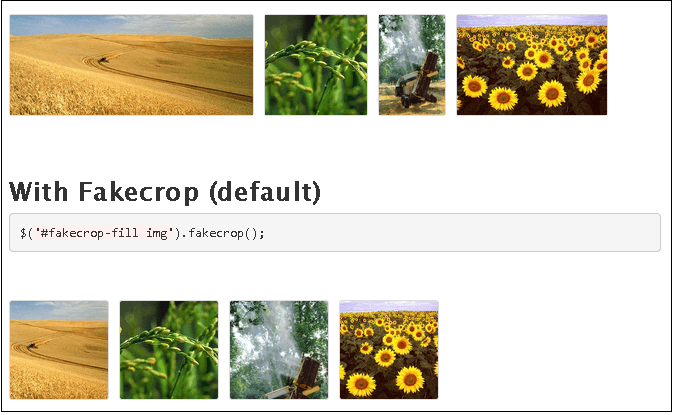 5 Latest jQuery Image Crop Plugins4