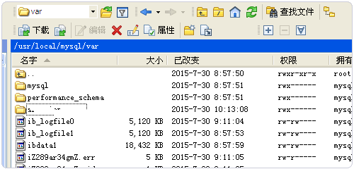 LNMP或LAMP数据库目录