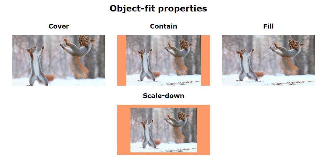 object fit