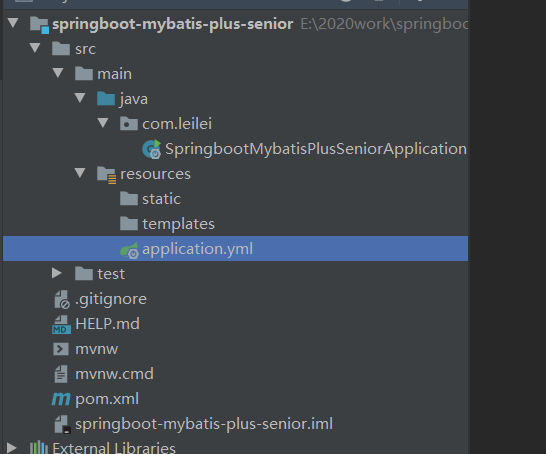 springboot2.3 整合mybatis-plus 高级功能(图文详解)